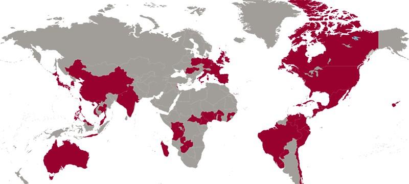 STM global map